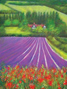 Lavendar Fields